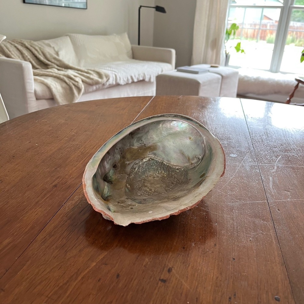 Natural Abalone Large Shell - Picture 6 of 16